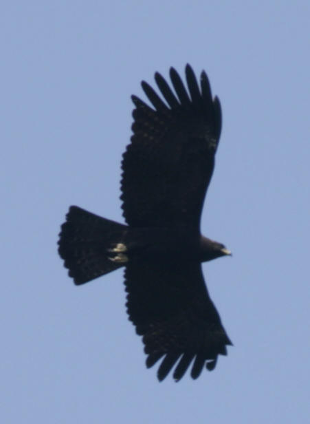 b8412c.jpg