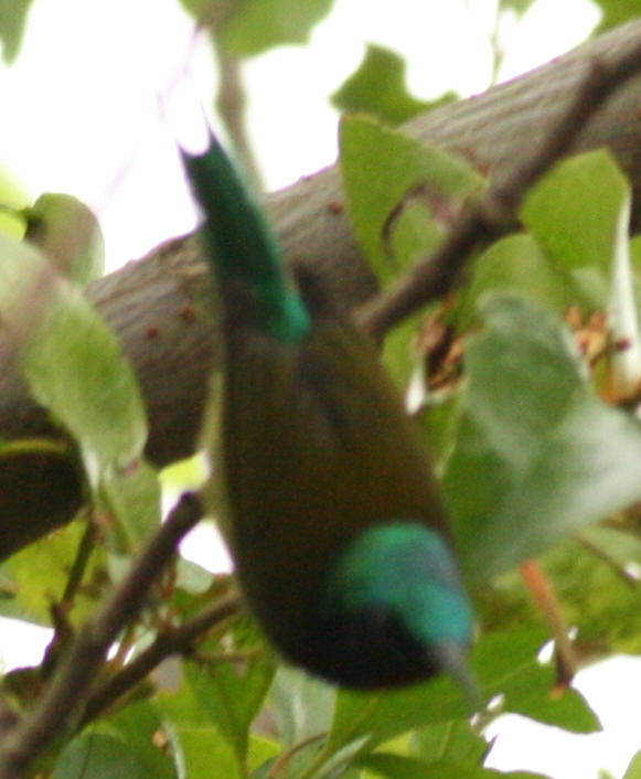 b8583.jpg