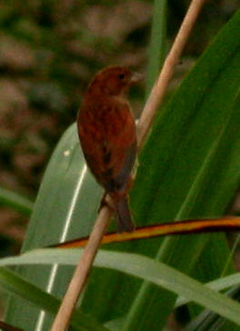 b8649.jpg