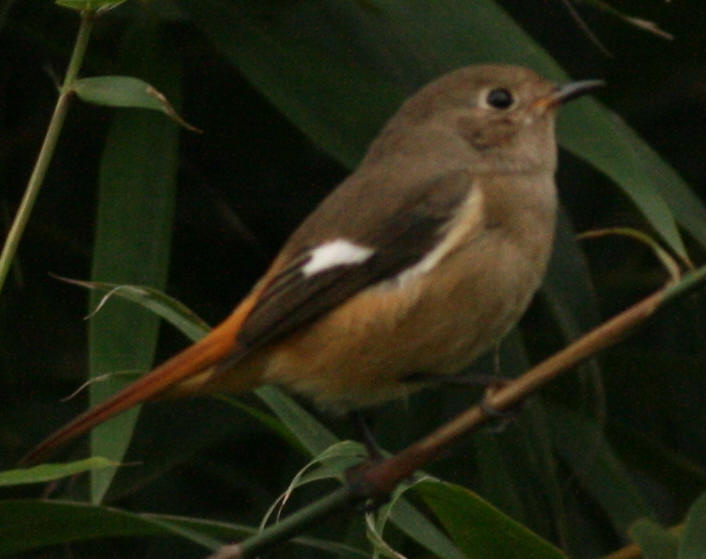 b8635.jpg