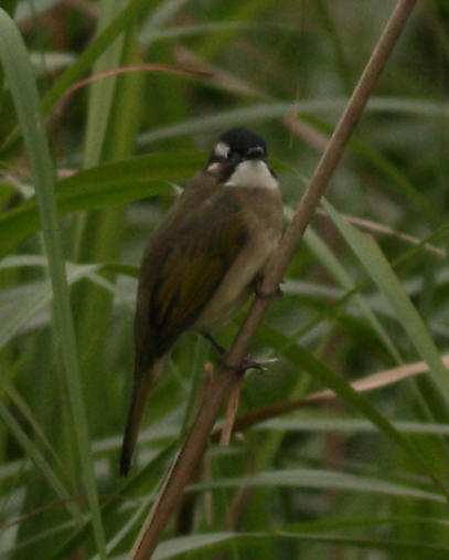 b8646c.jpg