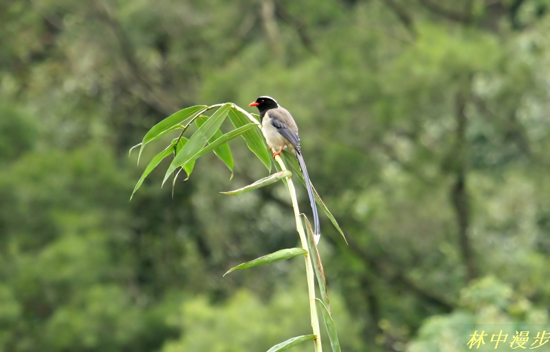 IMG_6002.JPG