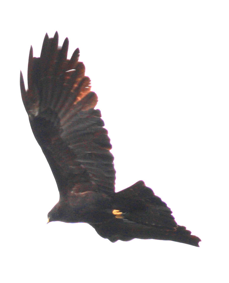 b9079c.jpg