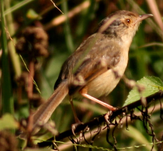b9330.jpg