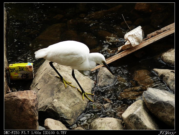 P1040802_nEO_IMG.jpg