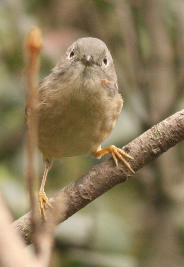 b9612.jpg
