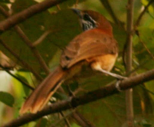 b9652c.JPG