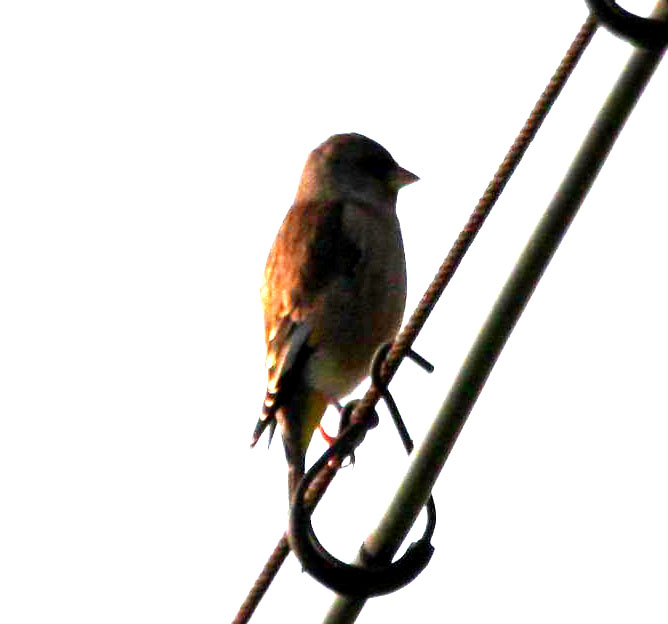 IMG_6449.jpg