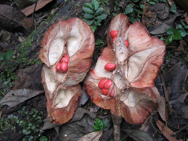 صĹʵ2.jpg
