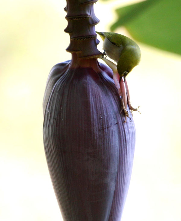 IMG_7116.jpg
