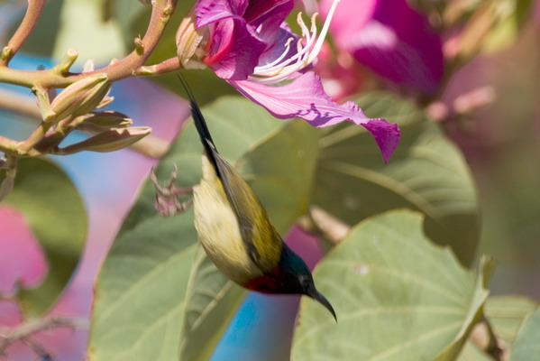 DSC_7883_С.jpg