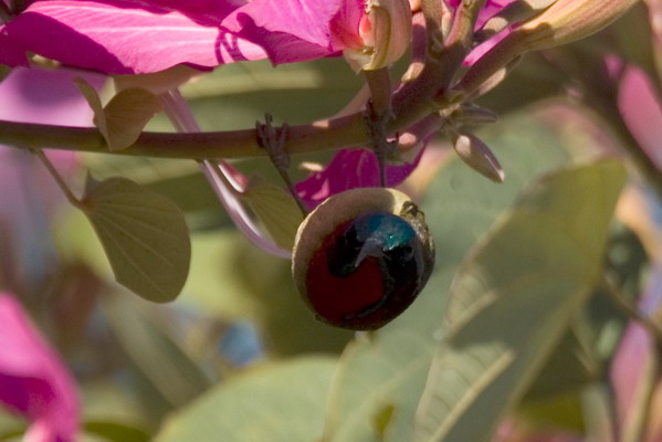DSC_7876_С.jpg