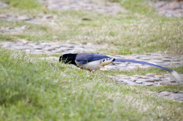 DSC_7742_С.jpg