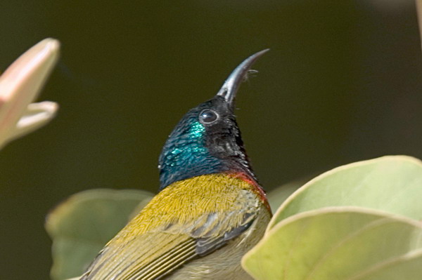 DSC_8617_С.jpg