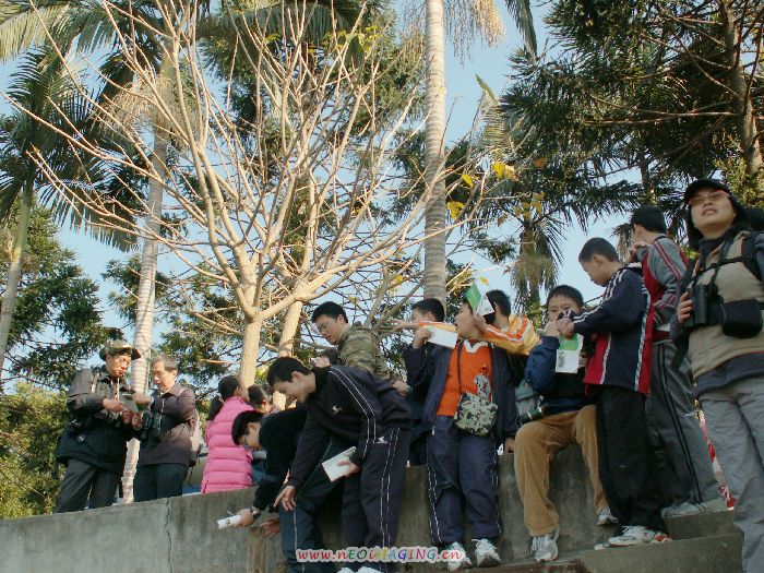 PICT4137.JPG