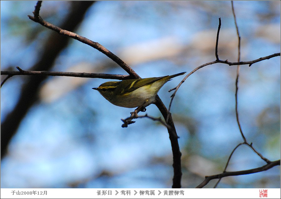 DSC_014479.jpg