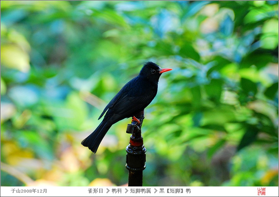 DSC_029379.jpg