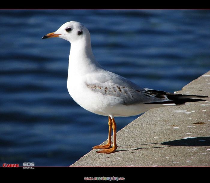 4_26_62d99c93ebad423.jpg