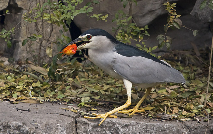 IMG_3538.jpg