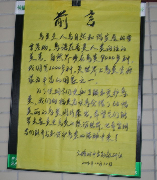 IMG_4478.jpg