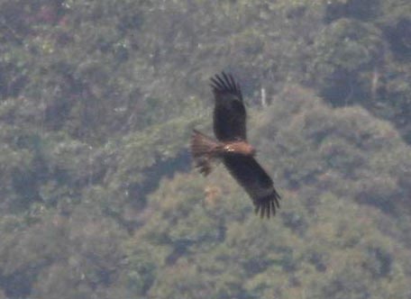 IMG_7806.jpg