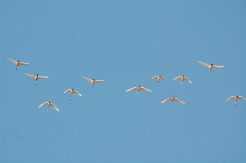 DSC_0348С.jpg