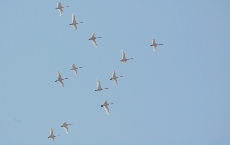 DSC_0355С.jpg