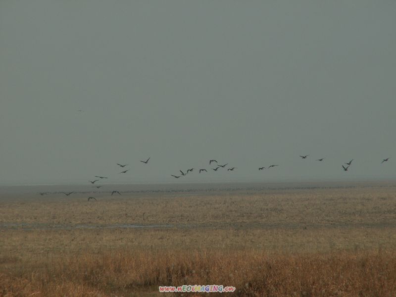 PICT4997.JPG