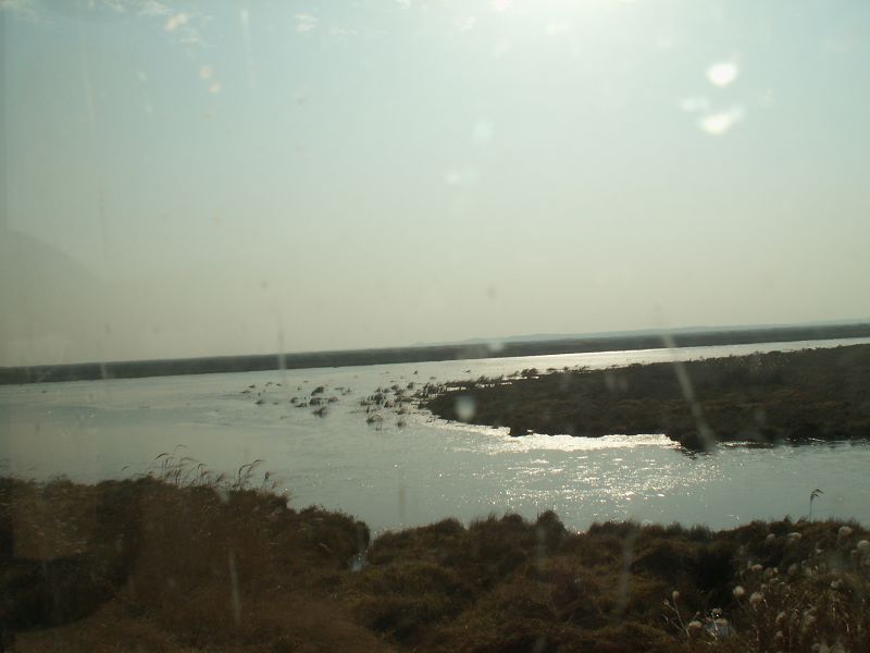 PICT4993.JPG