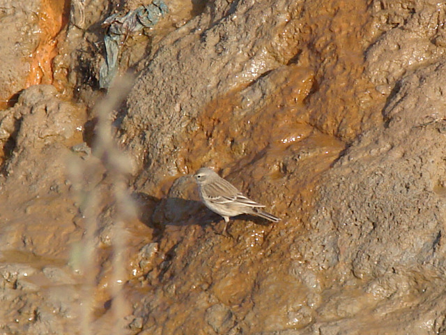 DSC03322.JPG