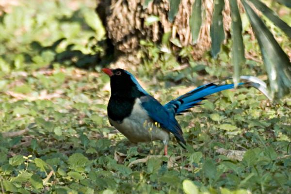 DSC_0093_С.jpg