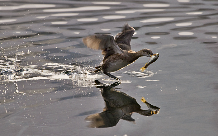 IMG_4260.jpg