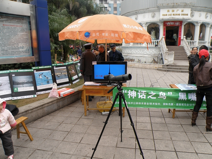 P3010036.jpg