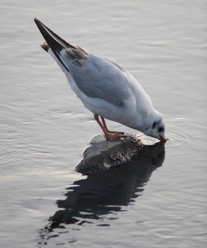 IMG_1886.jpg
