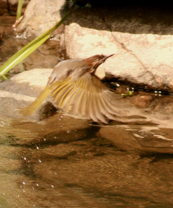 cIMG_6654.jpg