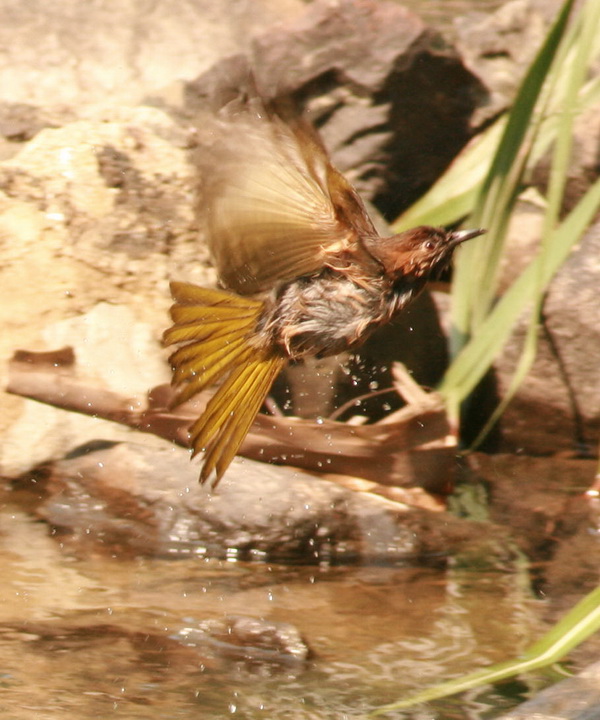 cIMG_6656.jpg