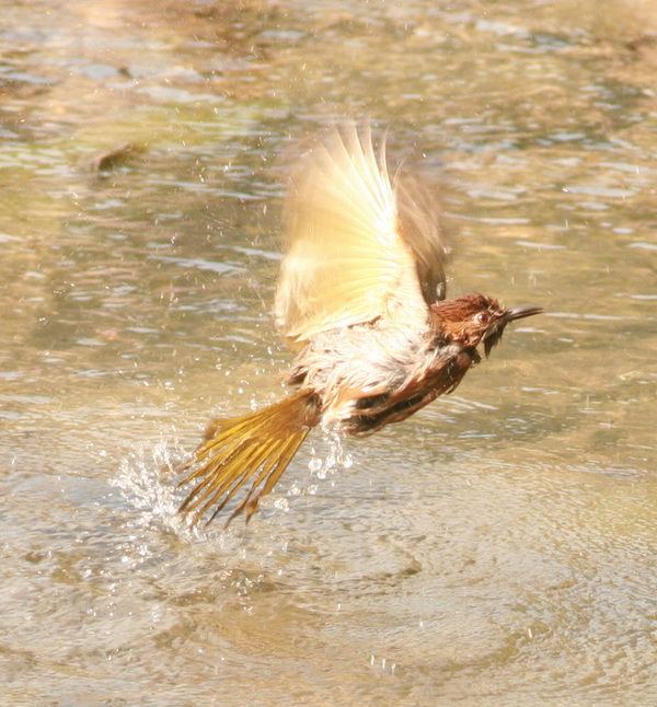 cIMG_6655.jpg