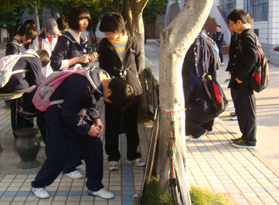腿为桌。。。强！