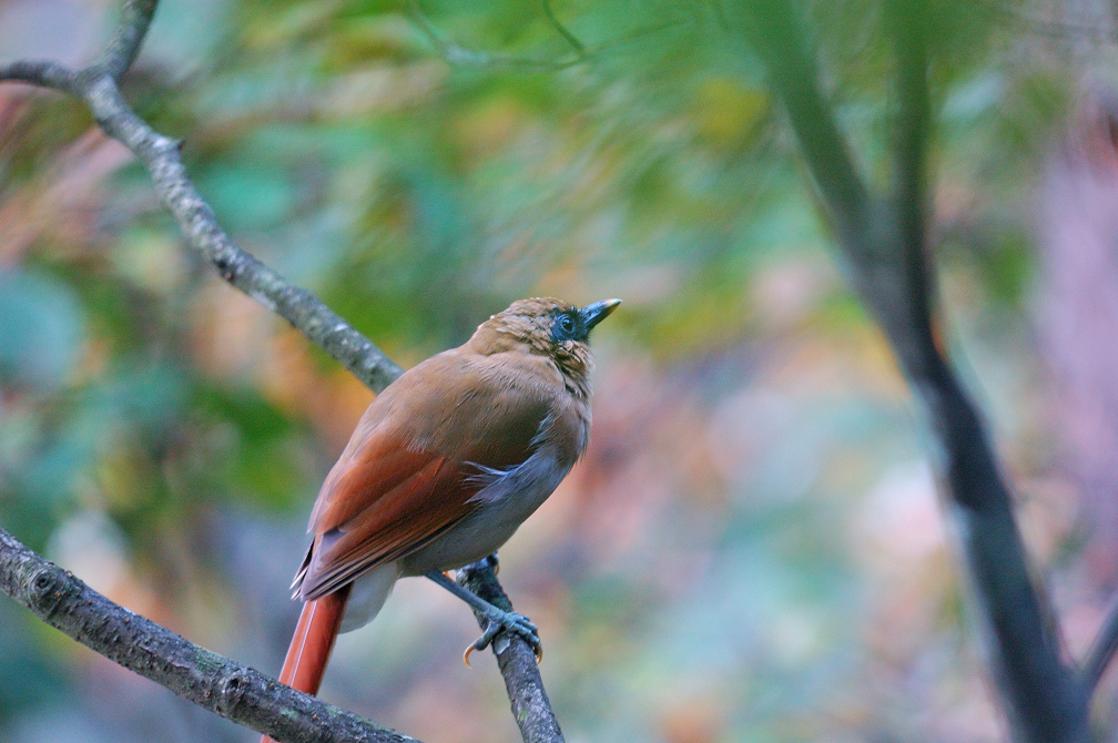 DSC_6549.jpg