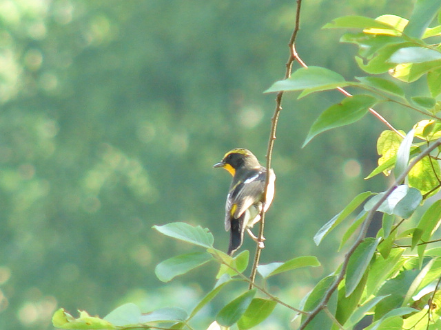 DSC03734.JPG