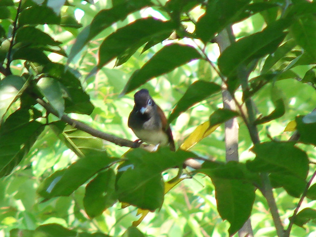 DSC03721.JPG