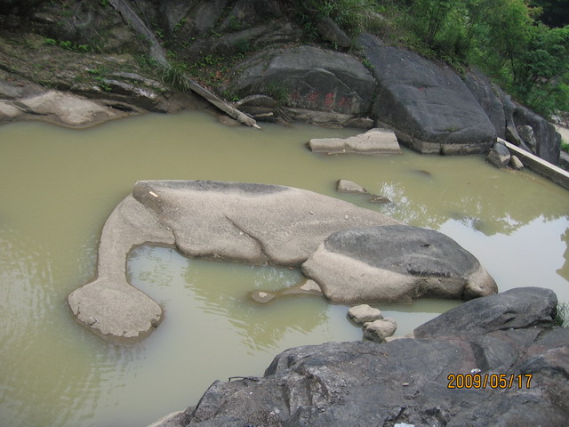 白眉山观鸟 097B.jpg