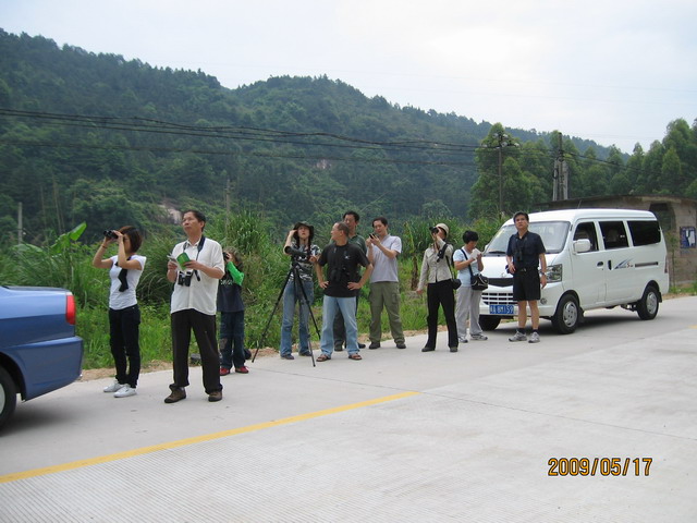 白眉山观鸟 004B.jpg