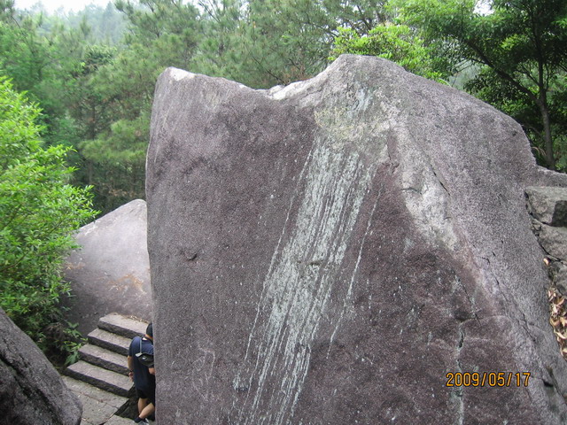白眉山观鸟 094B.jpg