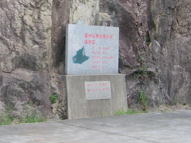 白眉山观鸟 011B.jpg