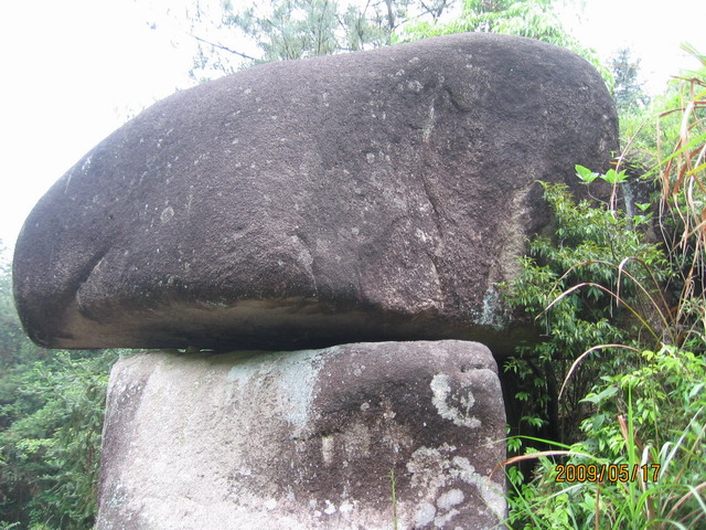 白眉山观鸟 070B.jpg