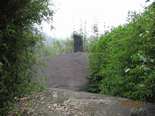 白眉山观鸟 095B.jpg