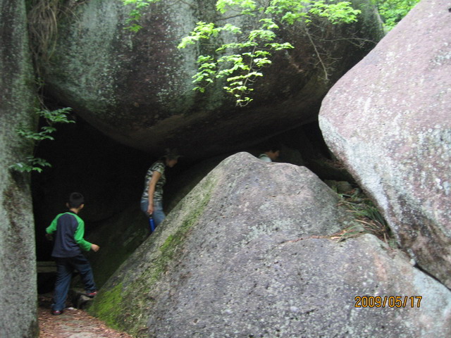 白眉山观鸟 068B.jpg