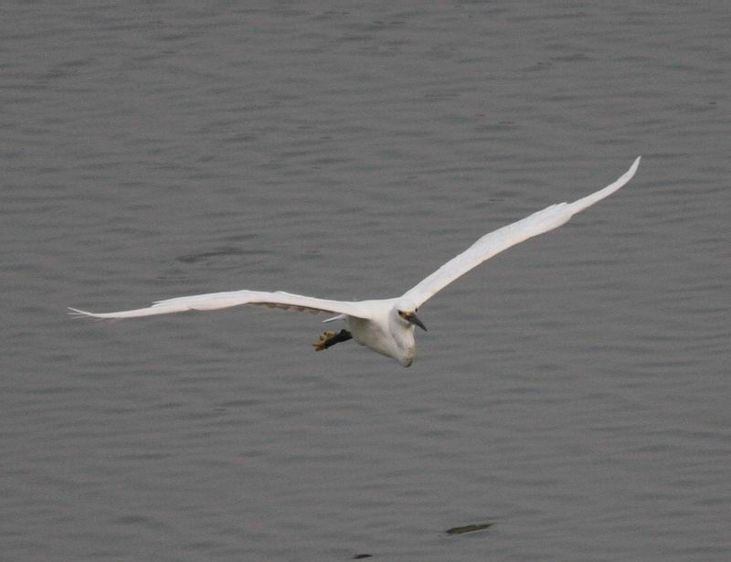 IMG_3087.jpg