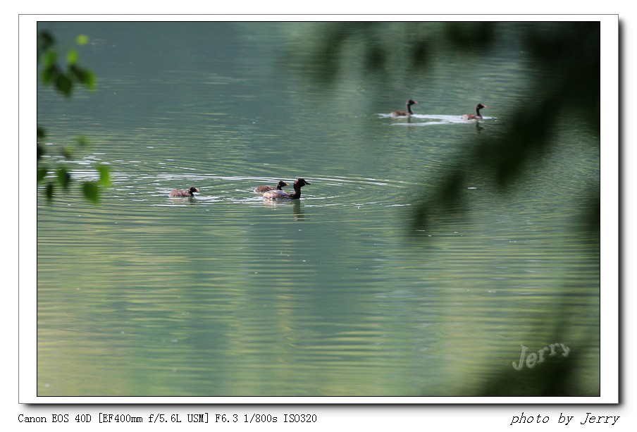IMG_9186_nEO_IMG.jpg